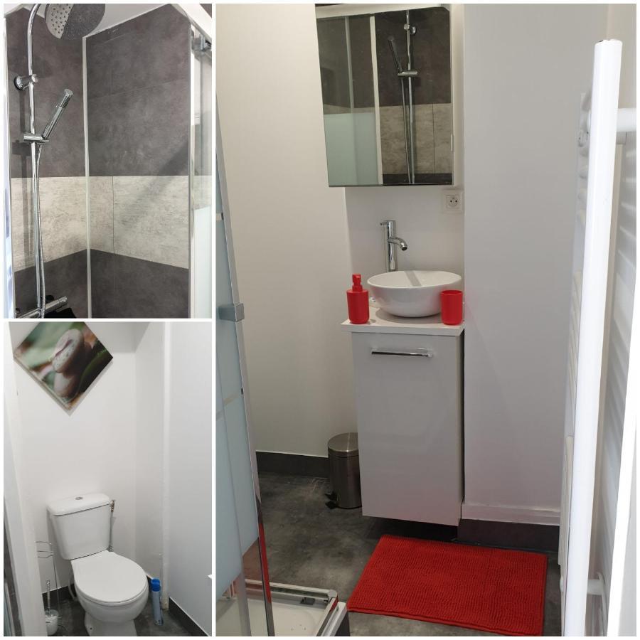 Chambres Poitiers Centre Ville - Salle De Bain, Refrigerateur, Tv Et Machine A Cafe Privatifs - Cuisine Commune - Terrasse - Hotel De Ville A 200M Экстерьер фото