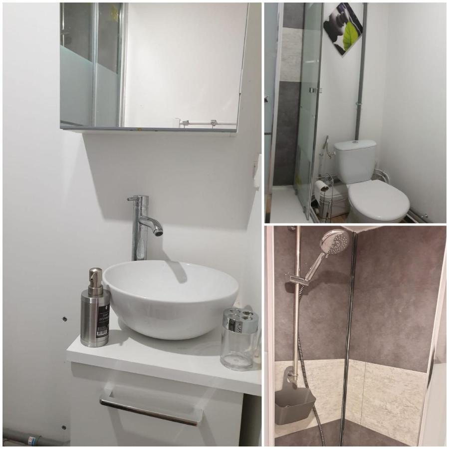 Chambres Poitiers Centre Ville - Salle De Bain, Refrigerateur, Tv Et Machine A Cafe Privatifs - Cuisine Commune - Terrasse - Hotel De Ville A 200M Экстерьер фото